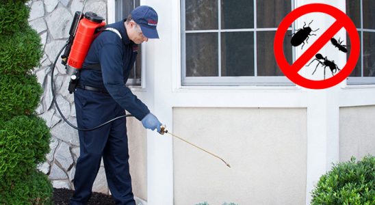 Viranşehir Böcek İlaçlama böcek ilaçlama ve haşere kontrolü — ilaclama-tr.com
